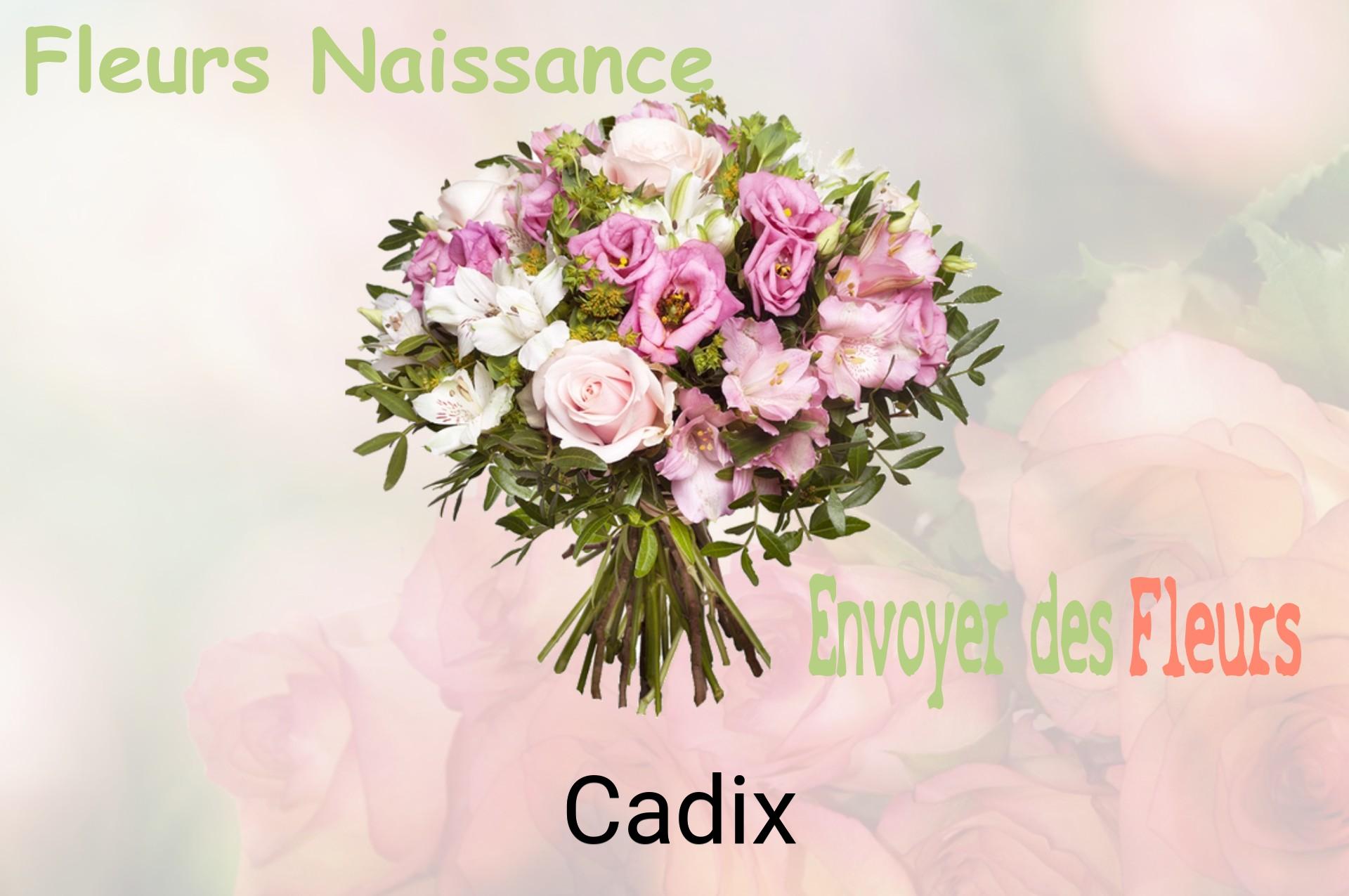 Bouquet de fleurs de naissance livré à Cadix